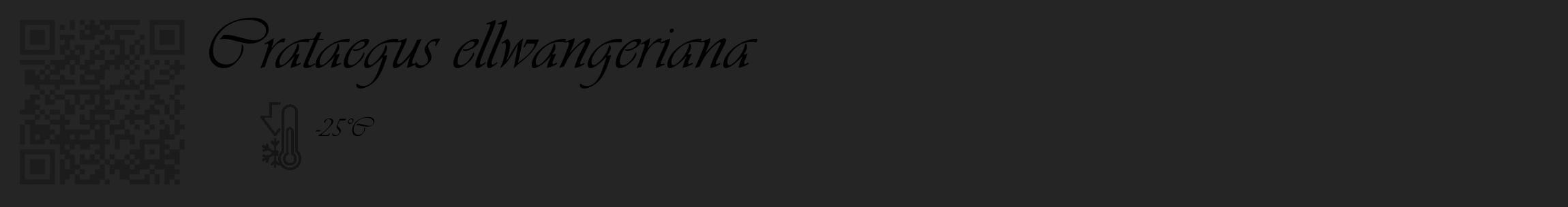 Étiquette de : Crataegus ellwangeriana - format c - style noire47_basique_basiqueviv avec qrcode et comestibilité