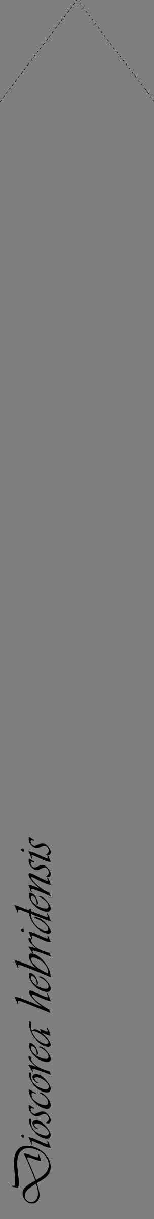 Étiquette de : Dioscorea hebridensis - format c - style noire31_simple_simpleviv avec comestibilité - position verticale