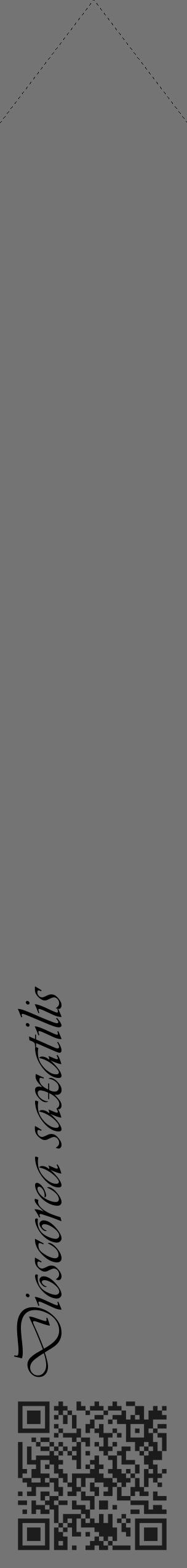 Étiquette de : Dioscorea saxatilis - format c - style noire26_simple_simpleviv avec qrcode et comestibilité - position verticale