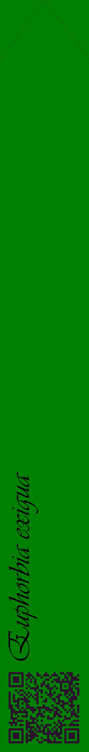 Étiquette de : Euphorbia exigua - format c - style noire9_simpleviv avec qrcode et comestibilité