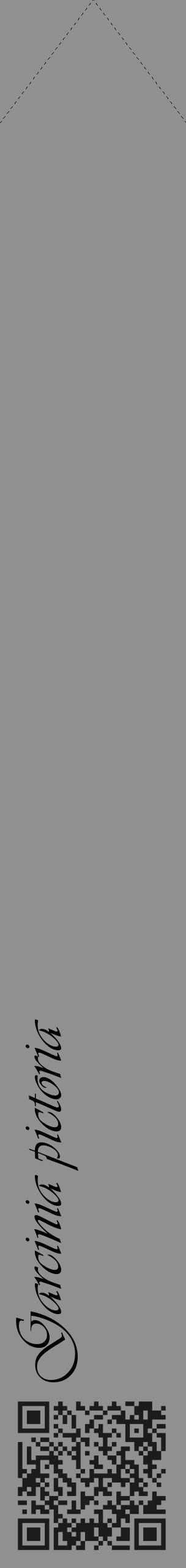 Étiquette de : Garcinia pictoria - format c - style noire4_simple_simpleviv avec qrcode et comestibilité - position verticale