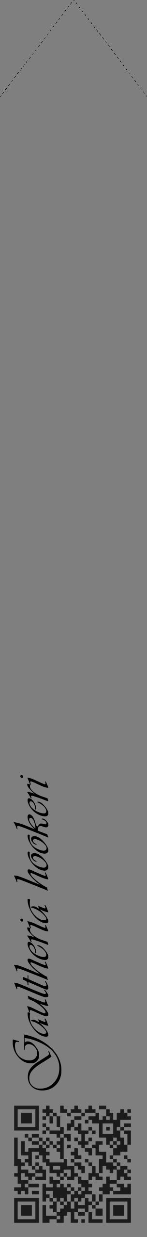 Étiquette de : Gaultheria hookeri - format c - style noire31_simple_simpleviv avec qrcode et comestibilité - position verticale