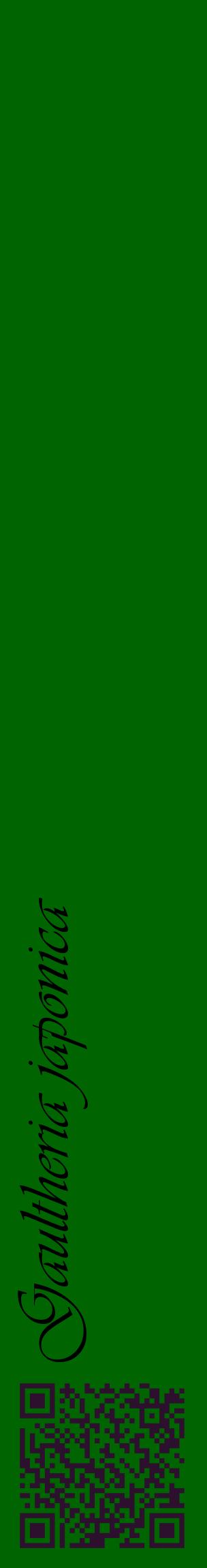 Étiquette de : Gaultheria japonica - format c - style noire8_basiqueviv avec qrcode et comestibilité