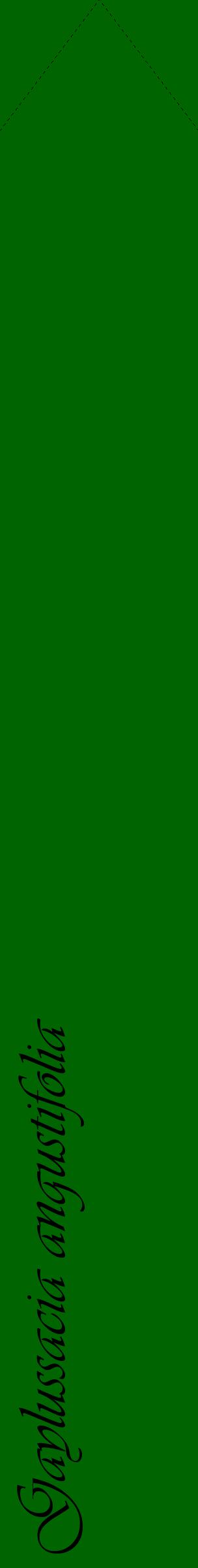 Étiquette de : Gaylussacia angustifolia - format c - style noire8_simpleviv avec comestibilité