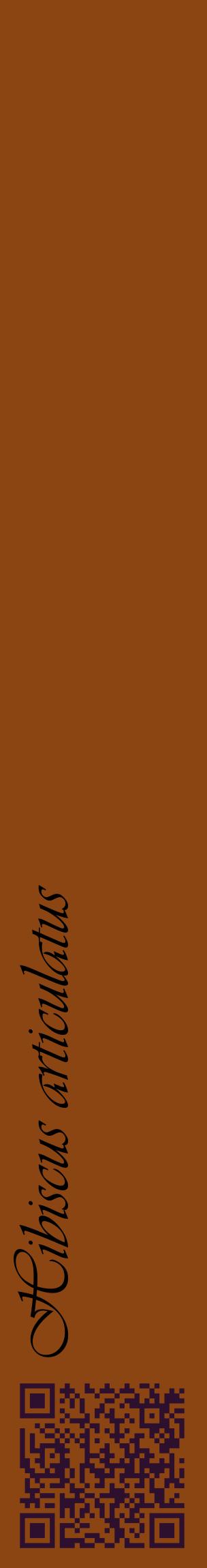 Étiquette de : Hibiscus articulatus - format c - style noire30_basiqueviv avec qrcode et comestibilité