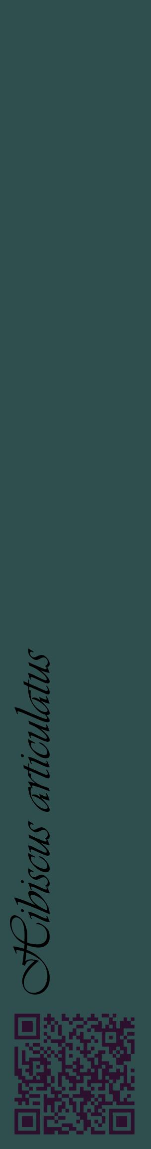 Étiquette de : Hibiscus articulatus - format c - style noire58_basiqueviv avec qrcode et comestibilité
