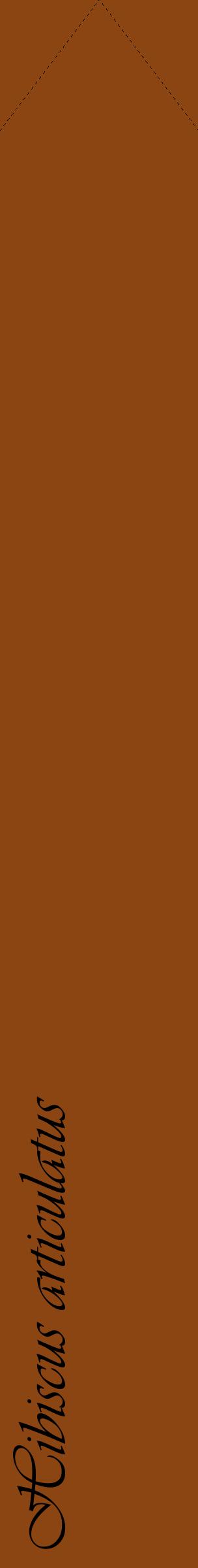 Étiquette de : Hibiscus articulatus - format c - style noire30_simpleviv avec comestibilité