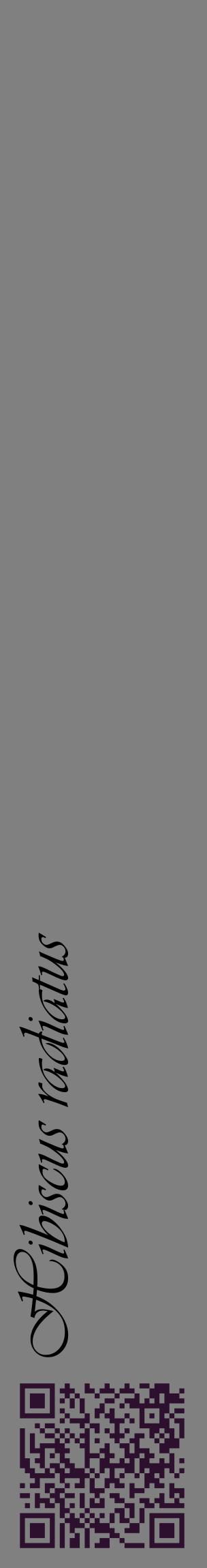 Étiquette de : Hibiscus radiatus - format c - style noire57_basiqueviv avec qrcode et comestibilité