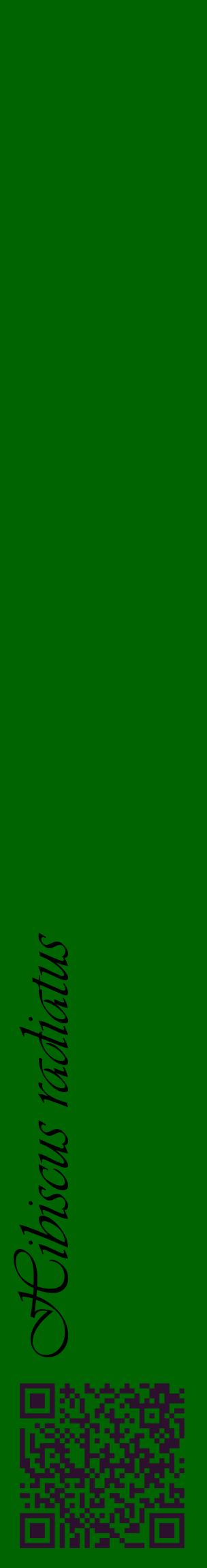 Étiquette de : Hibiscus radiatus - format c - style noire8_basiqueviv avec qrcode et comestibilité