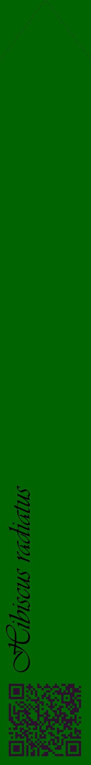 Étiquette de : Hibiscus radiatus - format c - style noire8_simpleviv avec qrcode et comestibilité