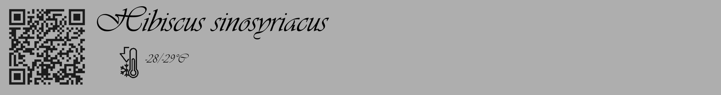 Étiquette de : Hibiscus sinosyriacus - format c - style noire53_basique_basiqueviv avec qrcode et comestibilité