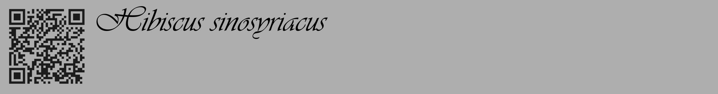 Étiquette de : Hibiscus sinosyriacus - format c - style noire53_basique_basiqueviv avec qrcode et comestibilité