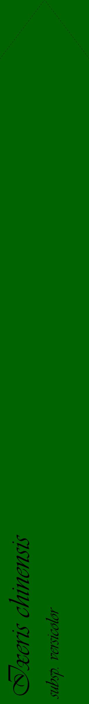 Étiquette de : Ixeris chinensis subsp. versicolor - format c - style noire8_simpleviv avec comestibilité