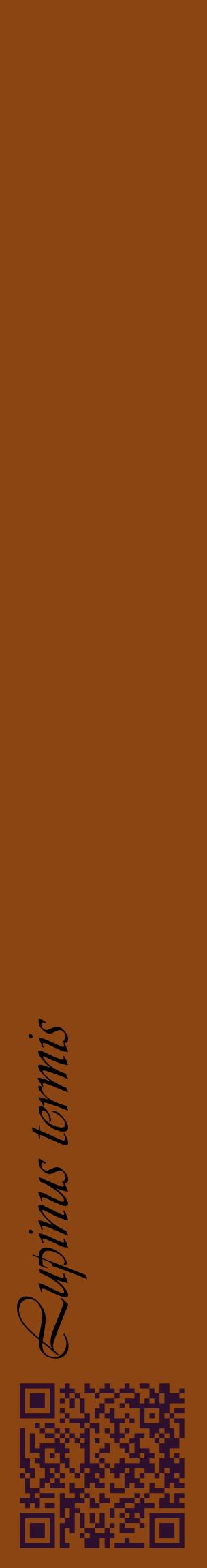 Étiquette de : Lupinus termis - format c - style noire30_basiqueviv avec qrcode et comestibilité