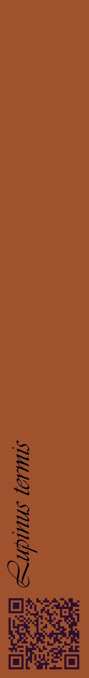 Étiquette de : Lupinus termis - format c - style noire32_basiqueviv avec qrcode et comestibilité