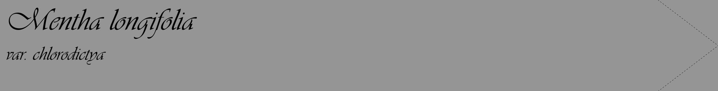 Étiquette de : Mentha longifolia var. chlorodictya - format c - style noire16_simple_simpleviv avec comestibilité