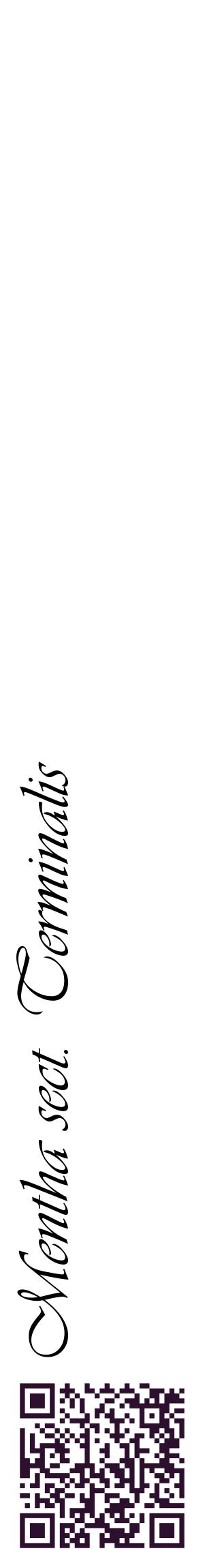 Étiquette de : Mentha sect. Terminalis - format c - style noire60_basiqueviv avec qrcode et comestibilité