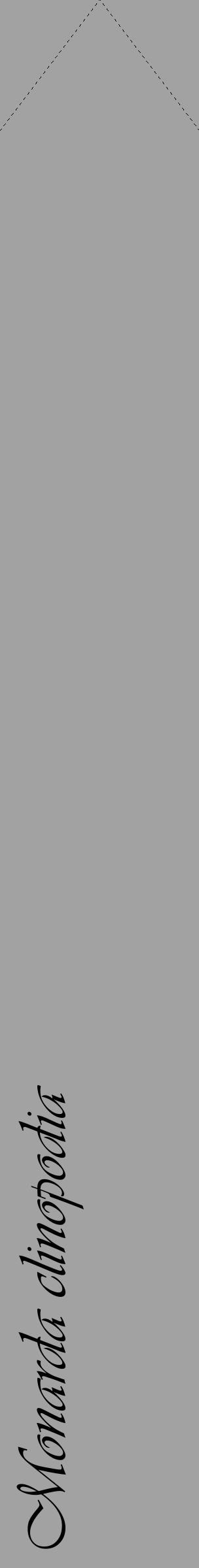 Étiquette de : Monarda clinopodia - format c - style noire38_simple_simpleviv avec comestibilité - position verticale
