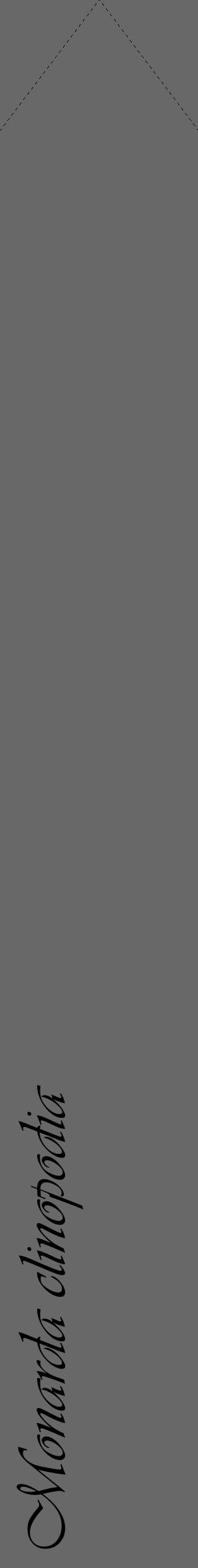 Étiquette de : Monarda clinopodia - format c - style noire43_simple_simpleviv avec comestibilité - position verticale
