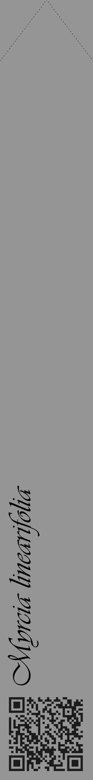 Étiquette de : Myrcia linearifolia - format c - style noire16_simple_simpleviv avec qrcode et comestibilité - position verticale