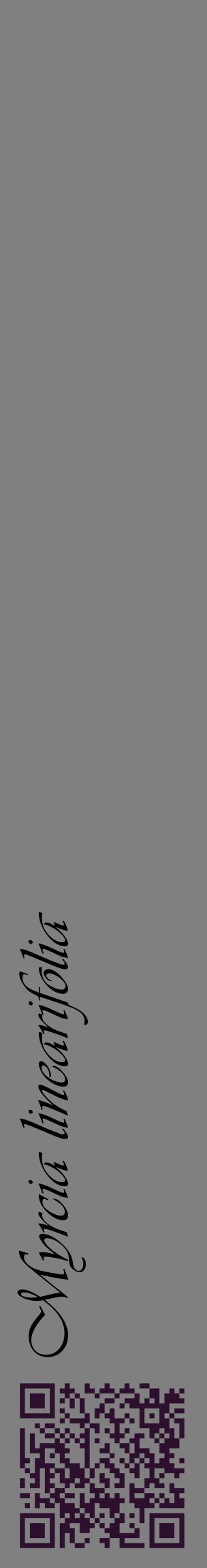 Étiquette de : Myrcia linearifolia - format c - style noire57_basiqueviv avec qrcode et comestibilité