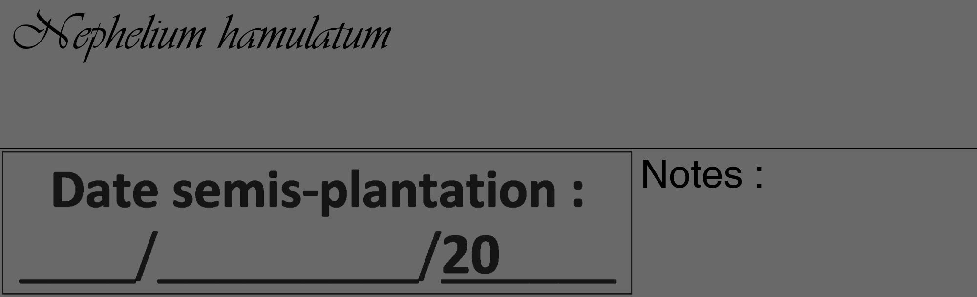 Étiquette de : Nephelium hamulatum - format c - style noire51_basique_basiqueviv avec comestibilité