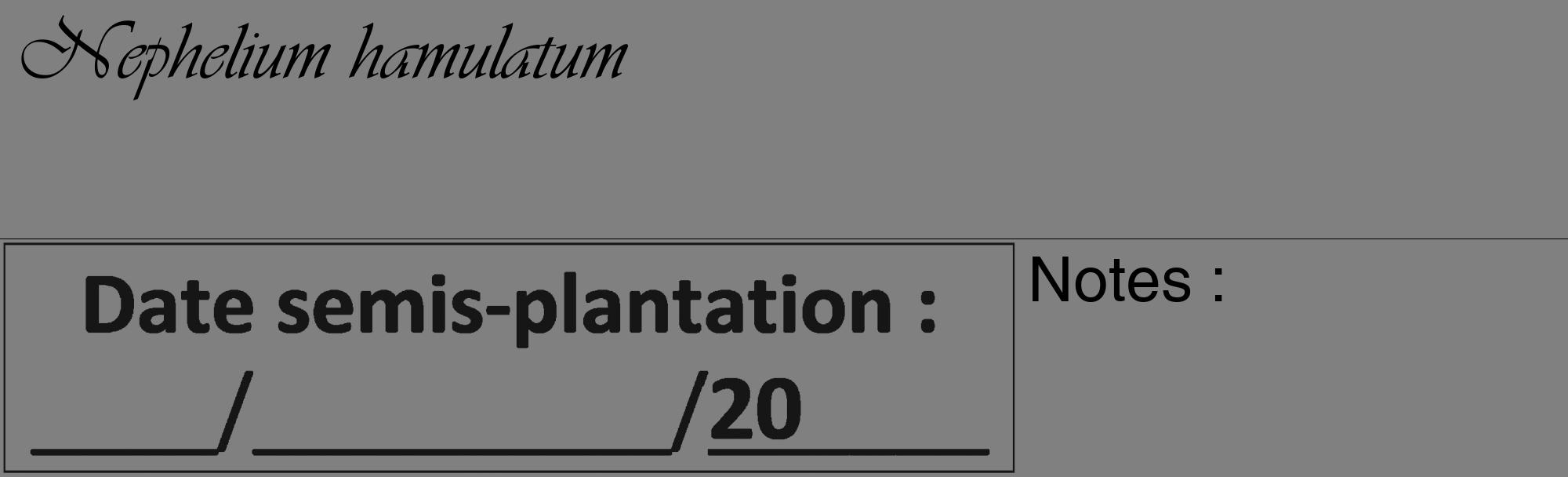 Étiquette de : Nephelium hamulatum - format c - style noire57_basique_basiqueviv avec comestibilité