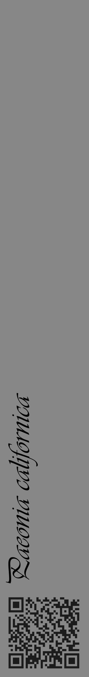 Étiquette de : Paeonia californica - format c - style noire12_basique_basiqueviv avec qrcode et comestibilité - position verticale