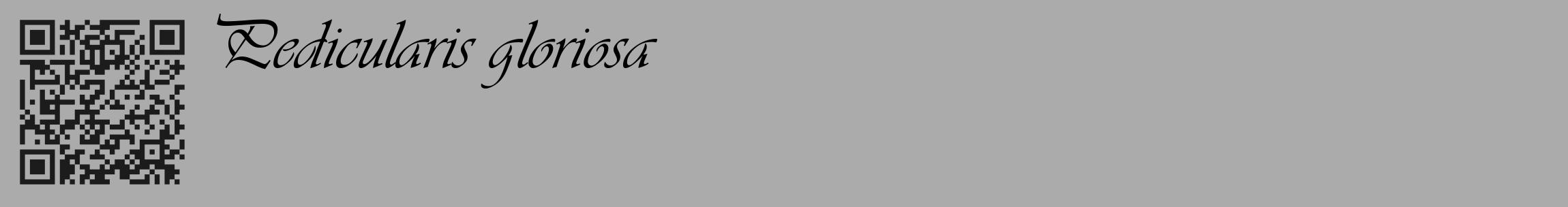 Étiquette de : Pedicularis gloriosa - format c - style noire37_basique_basiqueviv avec qrcode et comestibilité