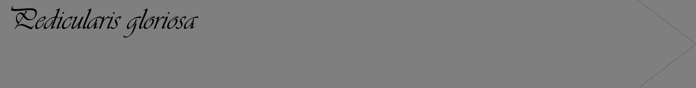 Étiquette de : Pedicularis gloriosa - format c - style noire31_simple_simpleviv avec comestibilité