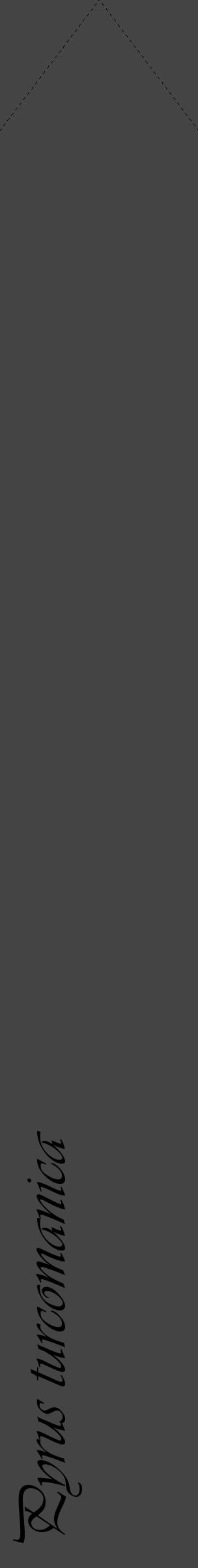 Étiquette de : Pyrus turcomanica - format c - style noire48_simple_simpleviv avec comestibilité - position verticale