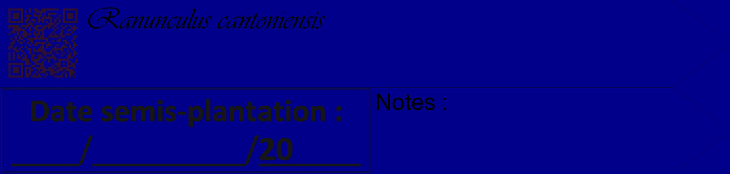 Étiquette de : Ranunculus cantoniensis - format c - style noire7_simple_simpleviv avec qrcode et comestibilité