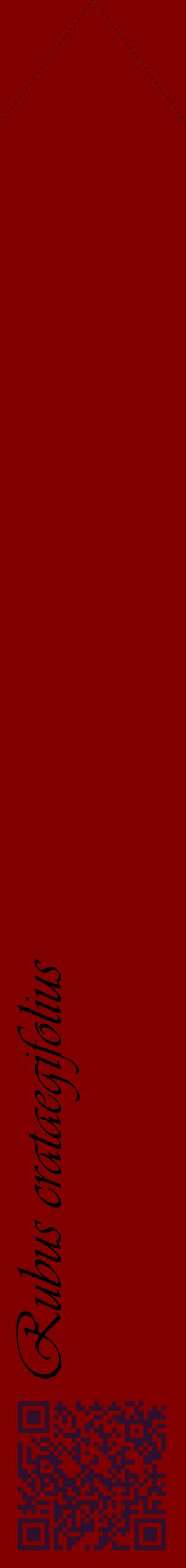 Étiquette de : Rubus crataegifolius - format c - style noire29_simpleviv avec qrcode et comestibilité