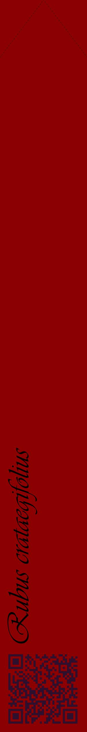 Étiquette de : Rubus crataegifolius - format c - style noire34_simpleviv avec qrcode et comestibilité