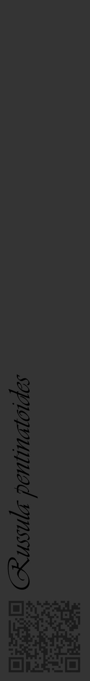 Étiquette de : Russula pentinatoides - format c - style noire46_basique_basiqueviv avec qrcode et comestibilité - position verticale