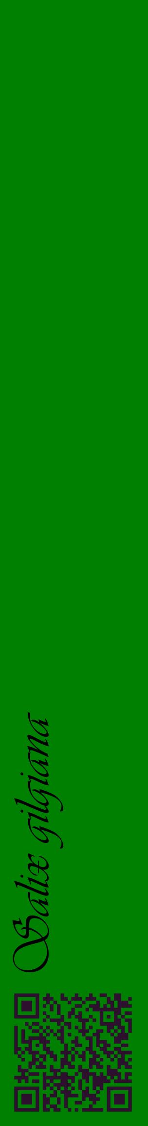 Étiquette de : Salix gilgiana - format c - style noire9_basiqueviv avec qrcode et comestibilité