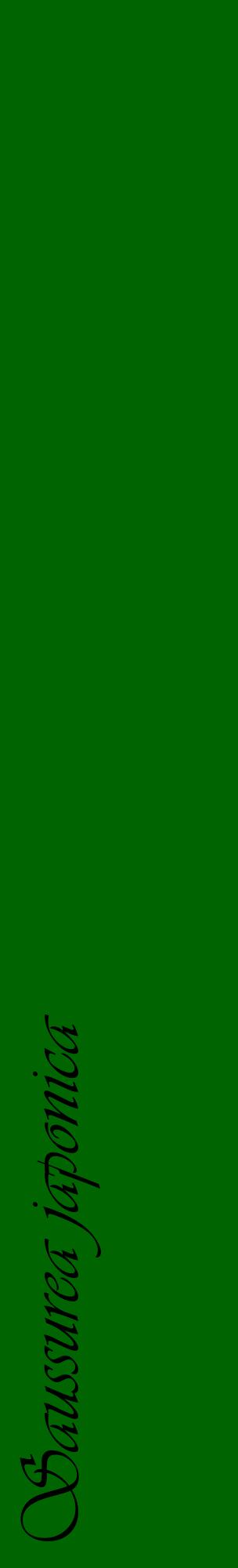 Étiquette de : Saussurea japonica - format c - style noire8_basiqueviv avec comestibilité