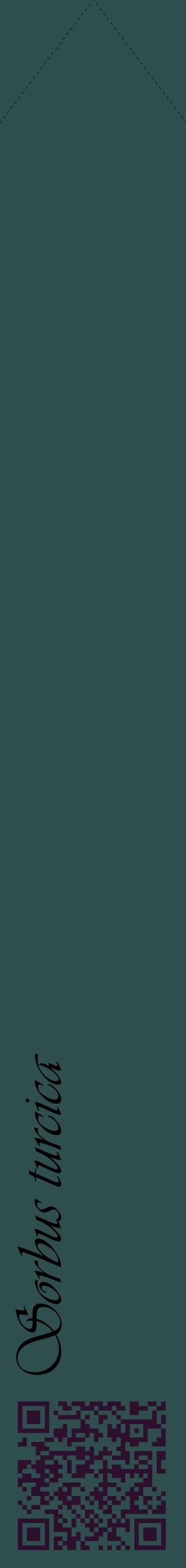 Étiquette de : Sorbus turcica - format c - style noire58_simpleviv avec qrcode et comestibilité