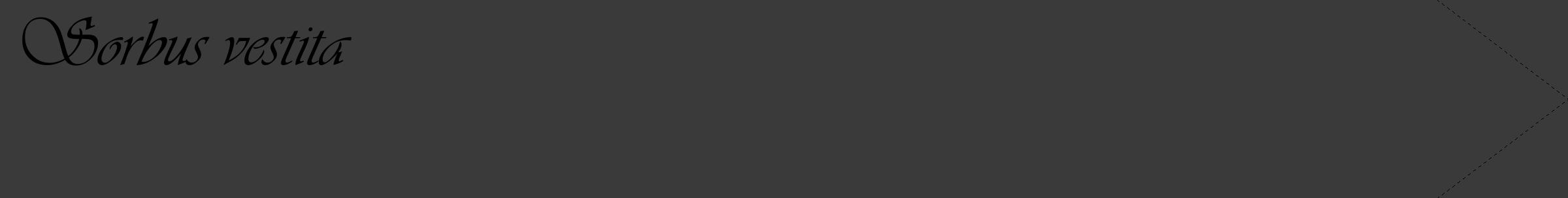 Étiquette de : Sorbus vestita - format c - style noire8_simple_simpleviv avec comestibilité