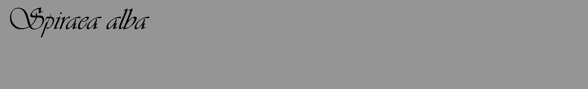 Étiquette de : Spiraea alba - format c - style noire16_basique_basiqueviv avec comestibilité