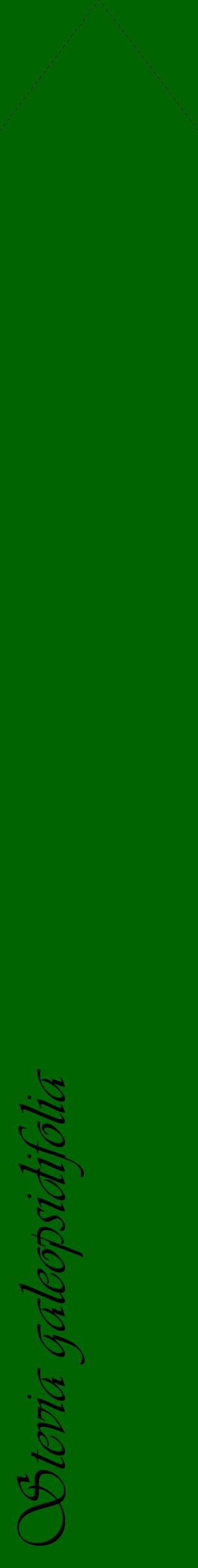 Étiquette de : Stevia galeopsidifolia - format c - style noire8_simpleviv avec comestibilité