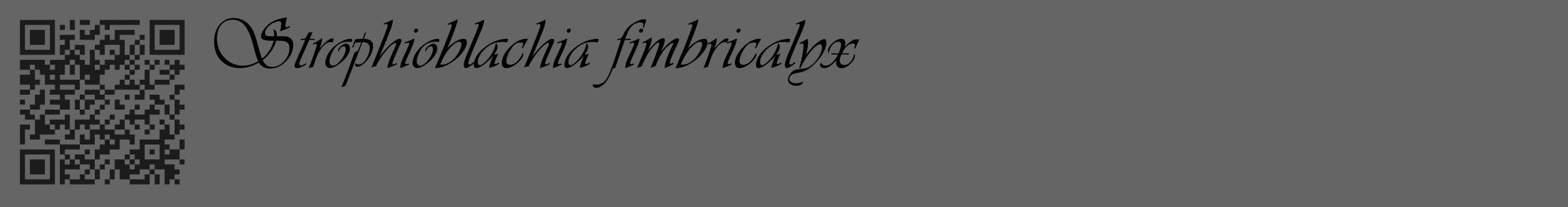Étiquette de : Strophioblachia fimbricalyx - format c - style noire32_basique_basiqueviv avec qrcode et comestibilité