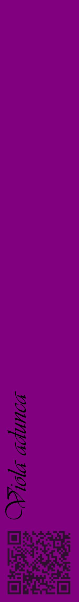 Étiquette de : Viola adunca - format c - style noire46_basiqueviv avec qrcode et comestibilité