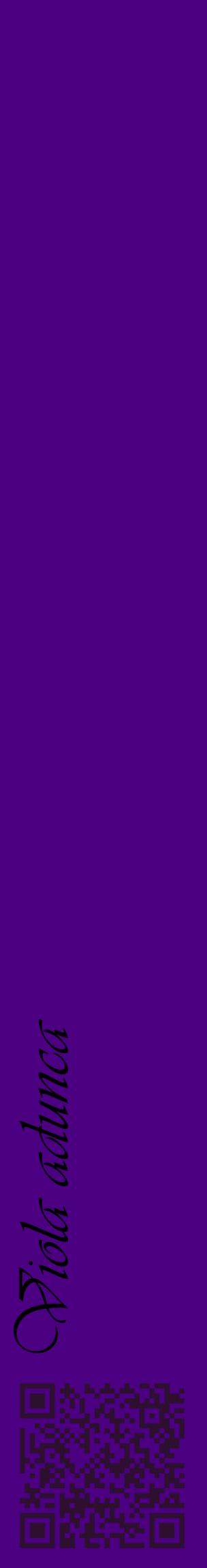 Étiquette de : Viola adunca - format c - style noire47_basiqueviv avec qrcode et comestibilité
