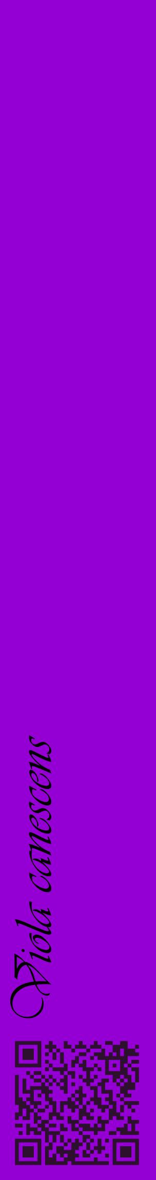 Étiquette de : Viola canescens - format c - style noire48_basiqueviv avec qrcode et comestibilité