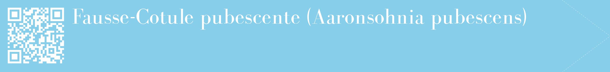 étiquette 2