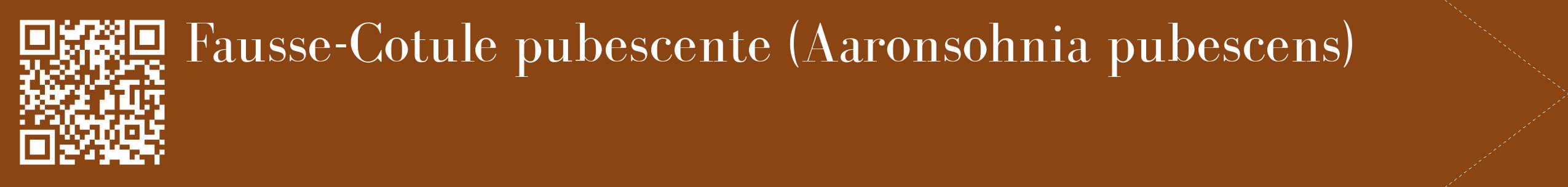 étiquette 2
