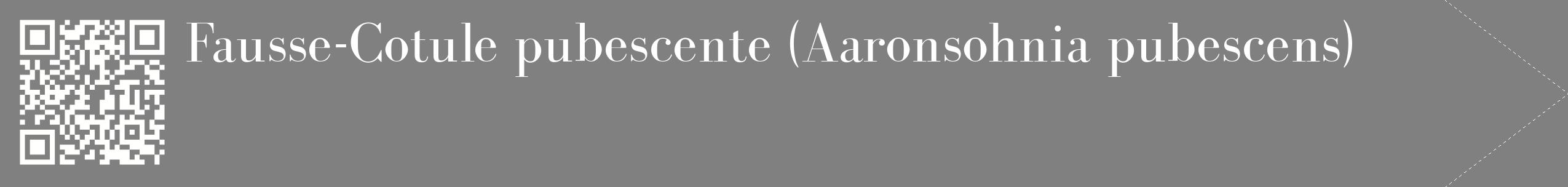 étiquette 2