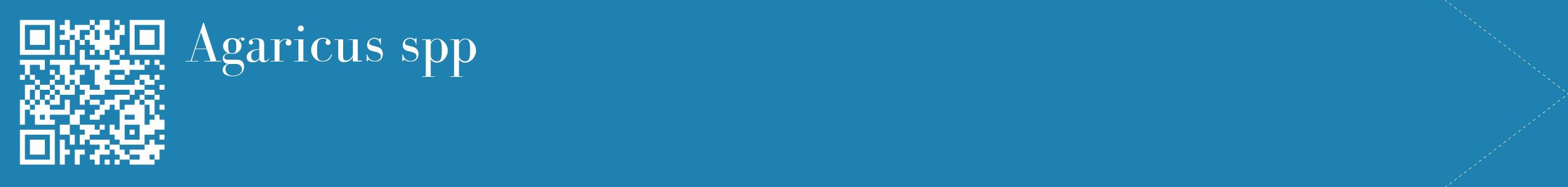 étiquette 2