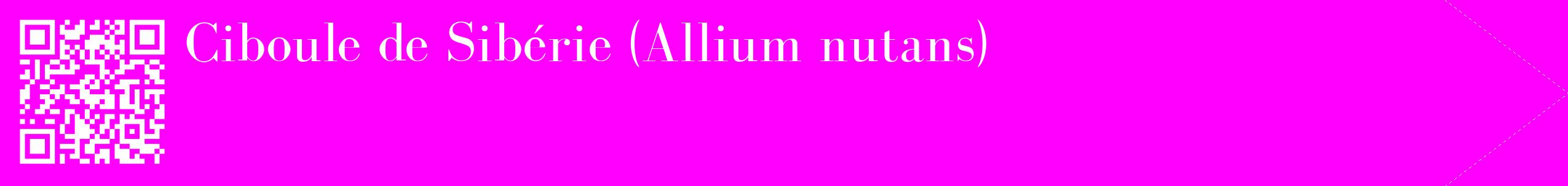 étiquette 2